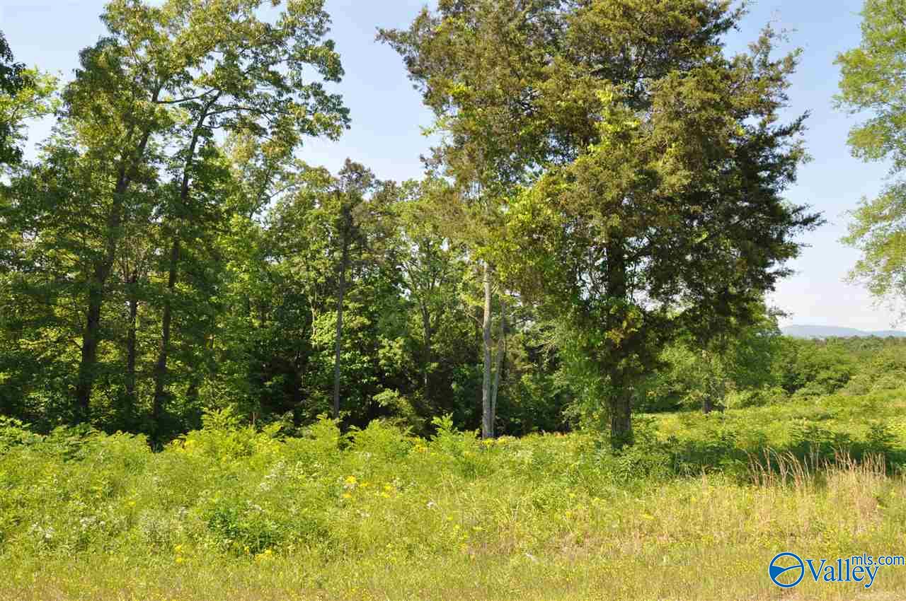 Lot 40 Ryan Road, Hollywood, Alabama image 5