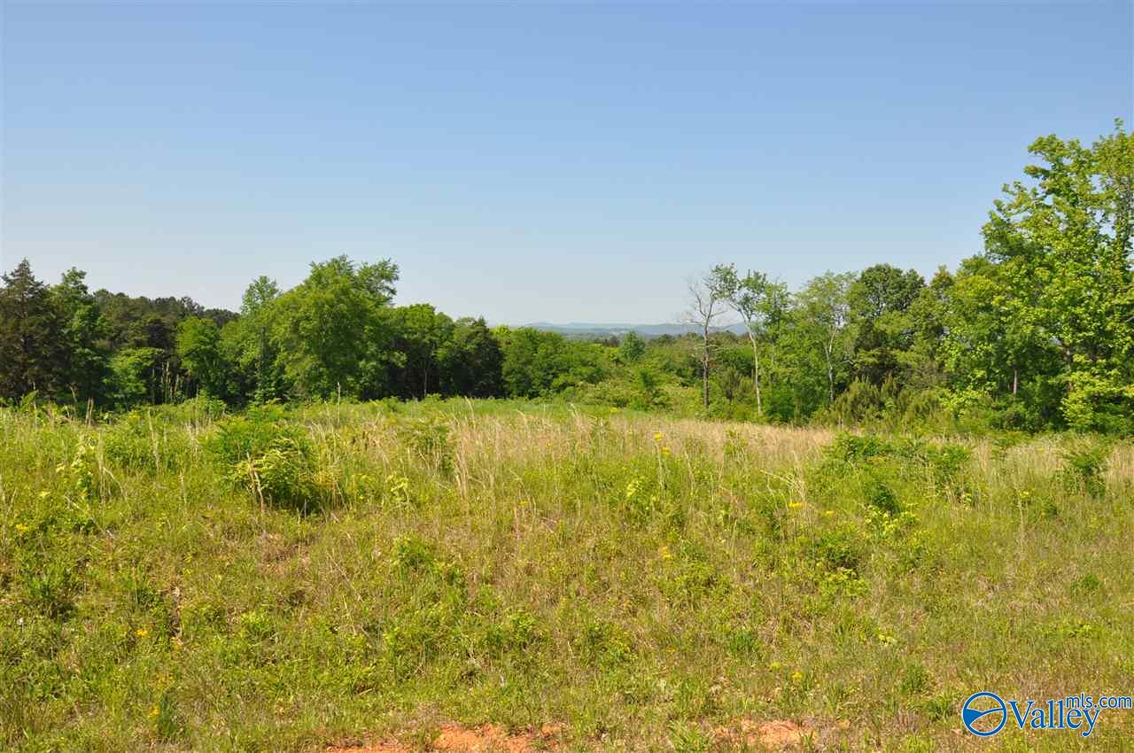 Lot 40 Ryan Road, Hollywood, Alabama image 11