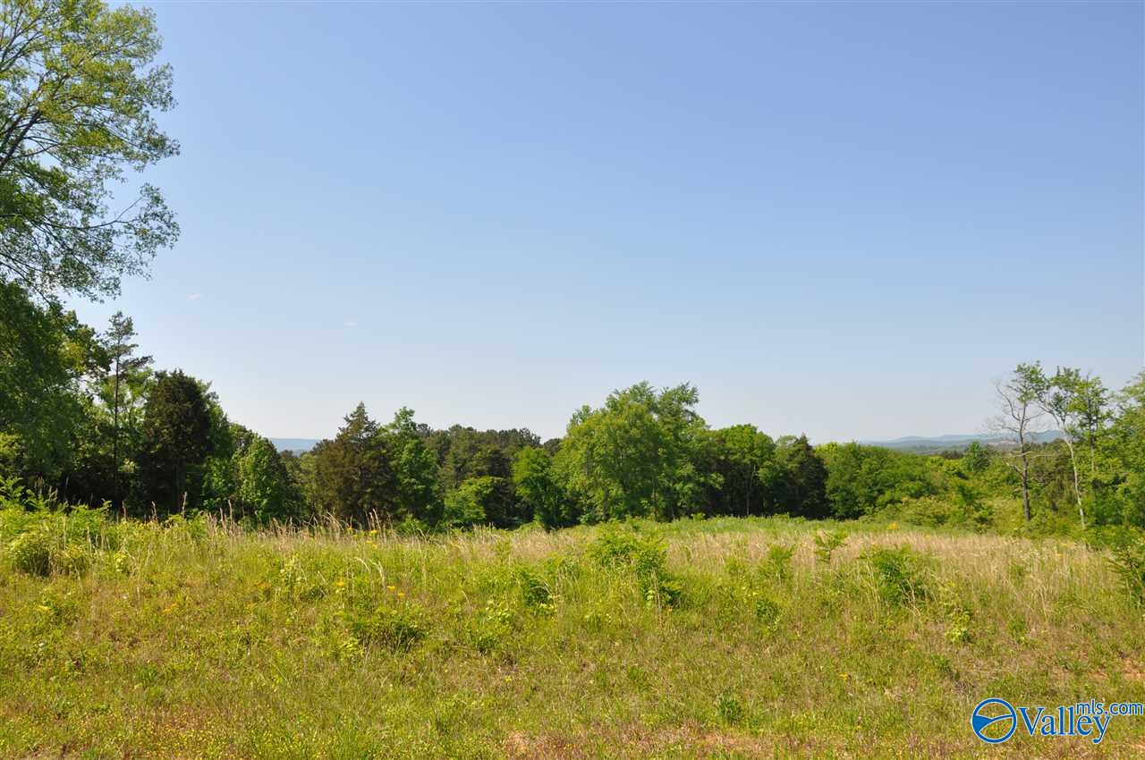 Lot 40 Ryan Road, Hollywood, Alabama image 10