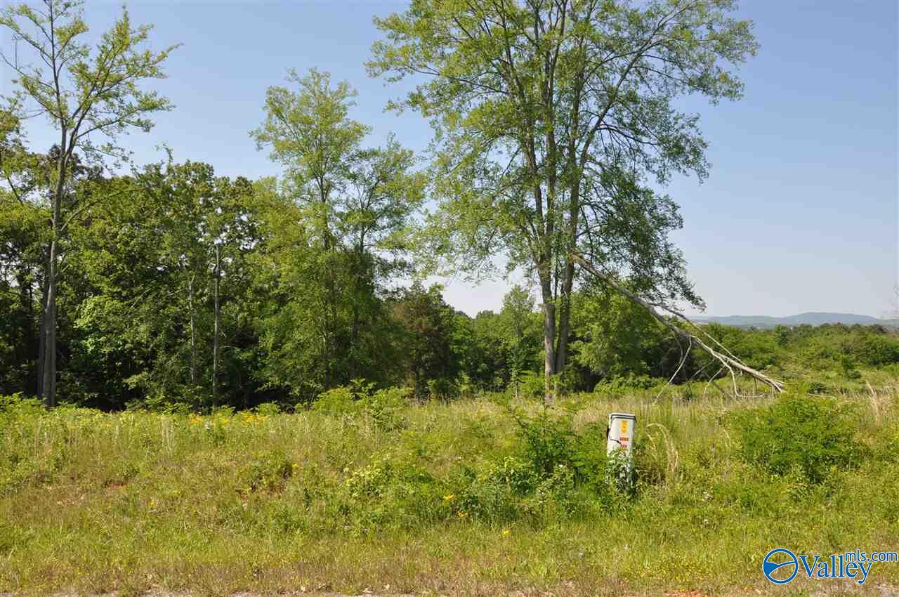 Lot 40 Ryan Road, Hollywood, Alabama image 9