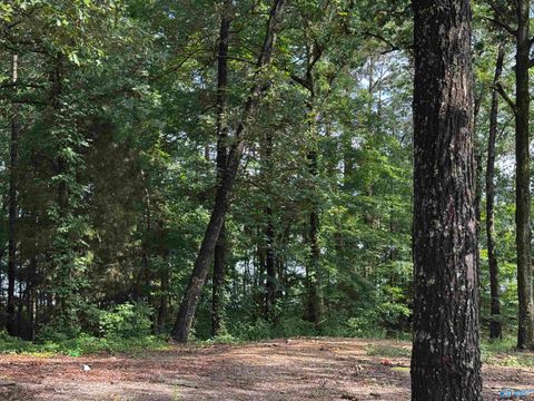 Vacant Land For Sale - LOT 6 County Road 448<br/> Cherokee County, Centre, AL 35960