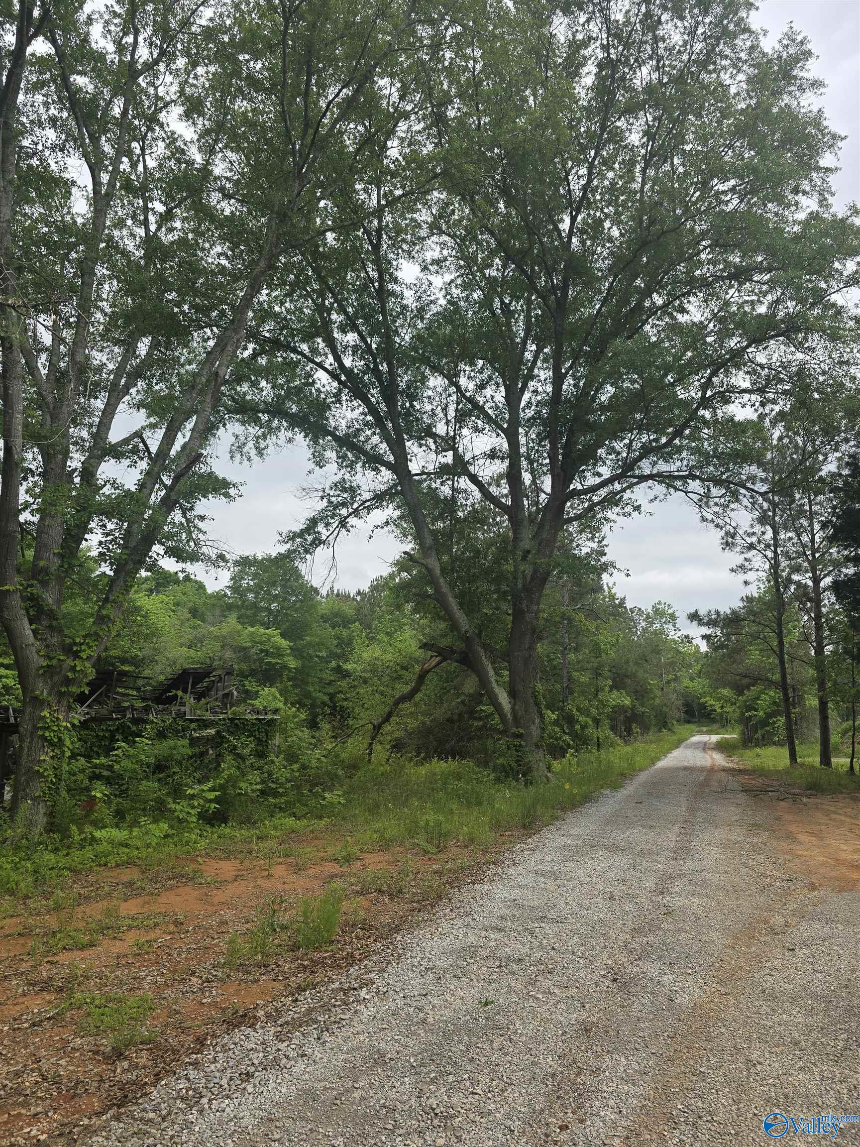 23898 County Road 460, Trinity, Alabama image 2