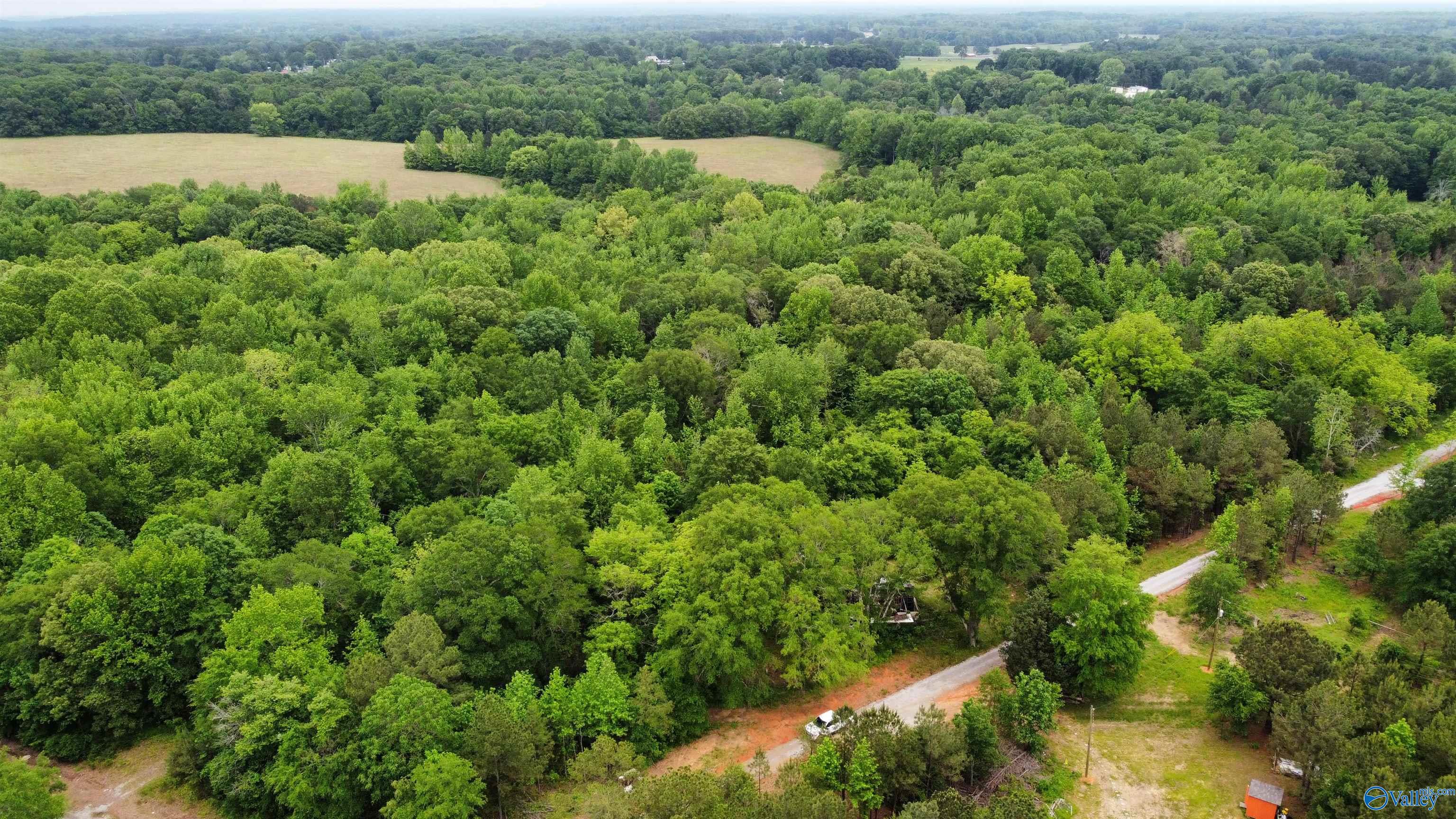 23898 County Road 460, Trinity, Alabama image 7