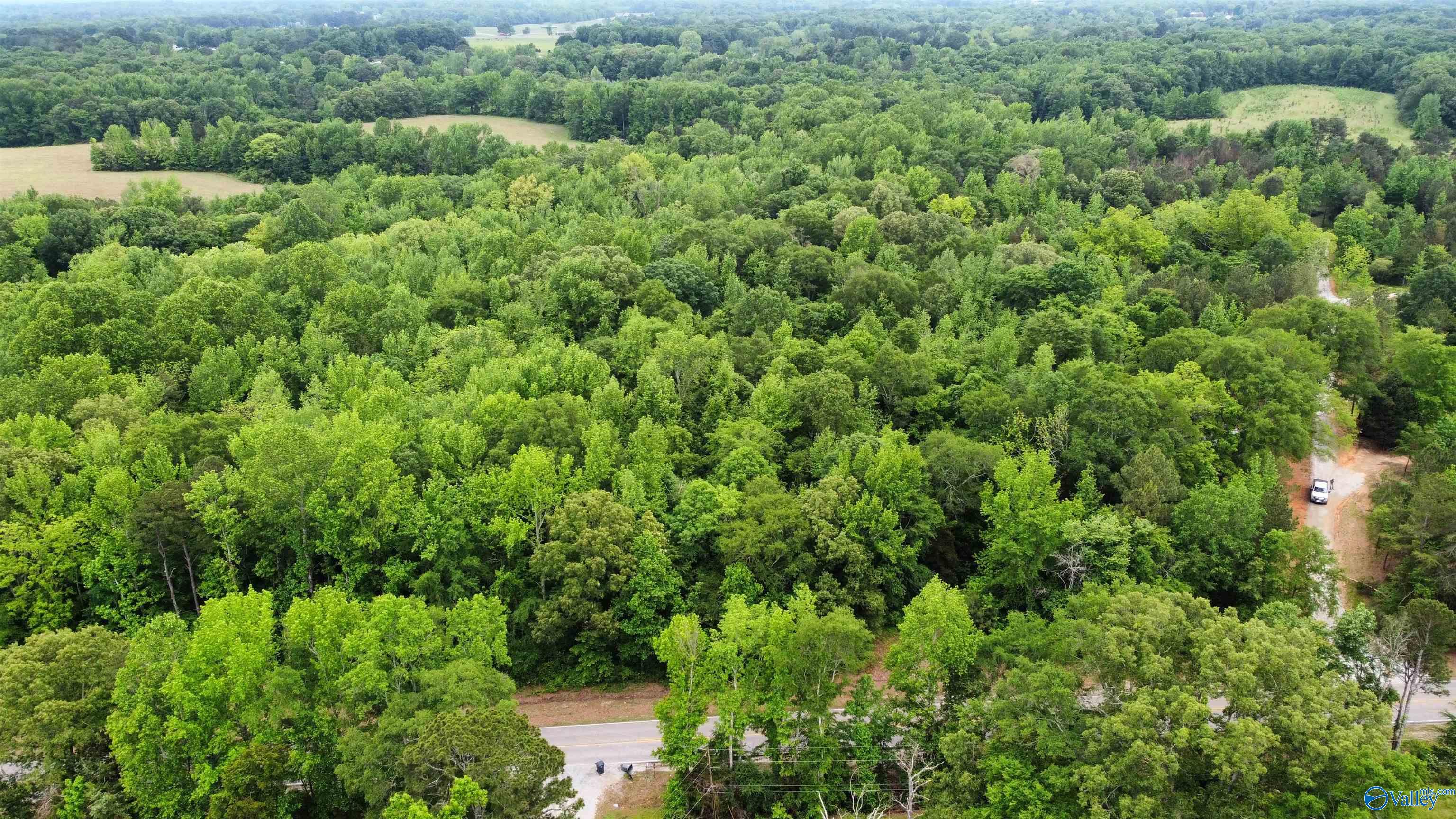23898 County Road 460, Trinity, Alabama image 11