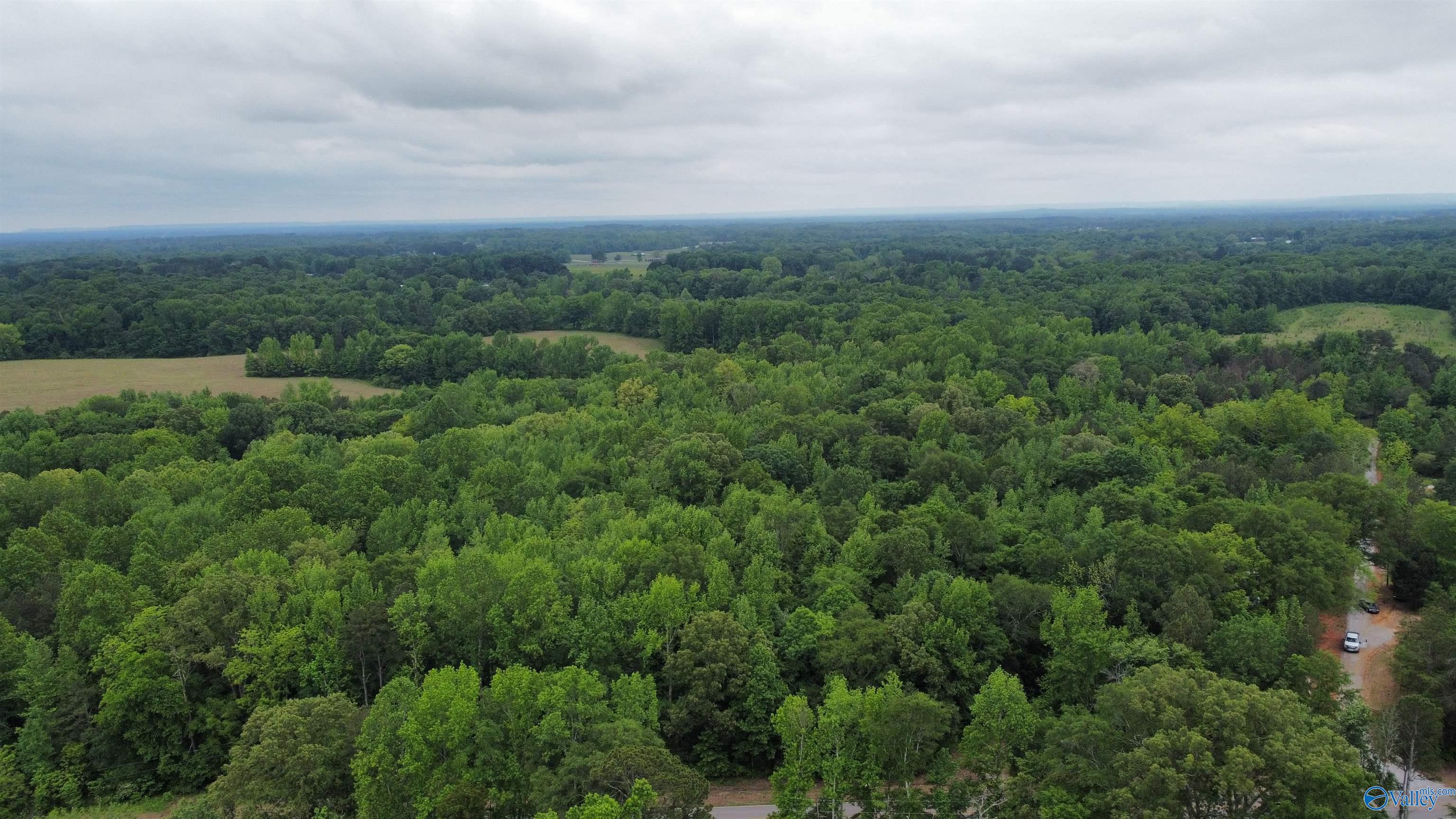 23898 County Road 460, Trinity, Alabama image 12
