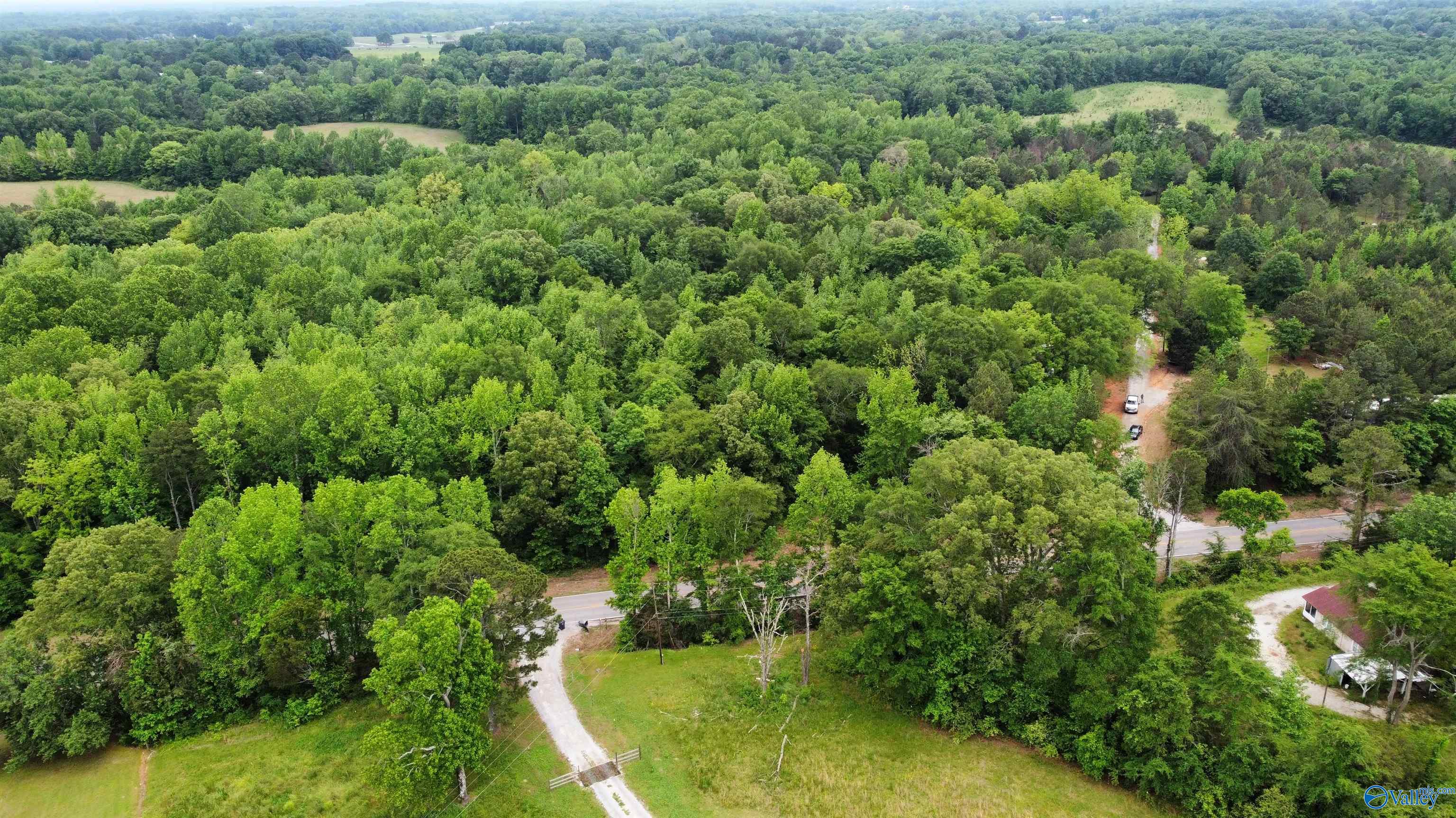 23898 County Road 460, Trinity, Alabama image 1