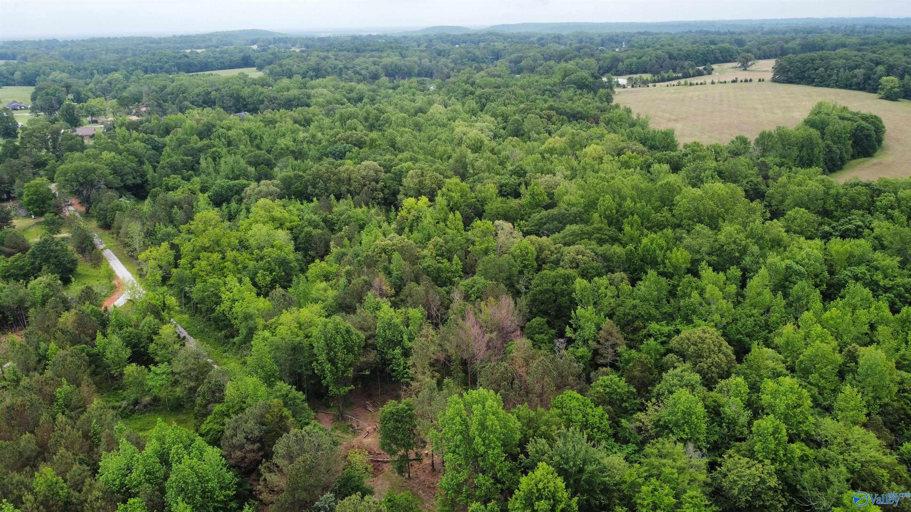 23898 County Road 460, Trinity, Alabama image 10