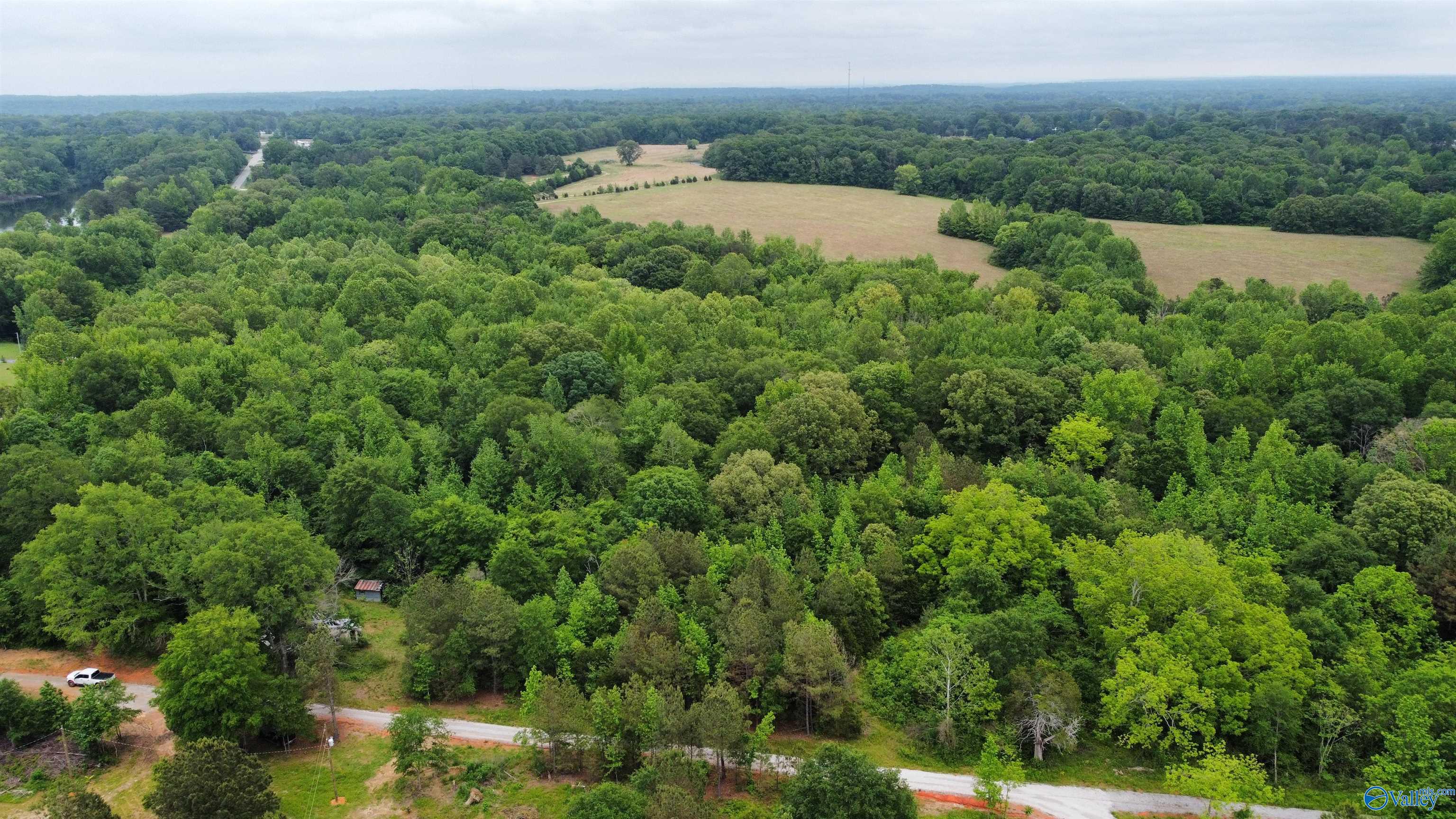 23898 County Road 460, Trinity, Alabama image 9