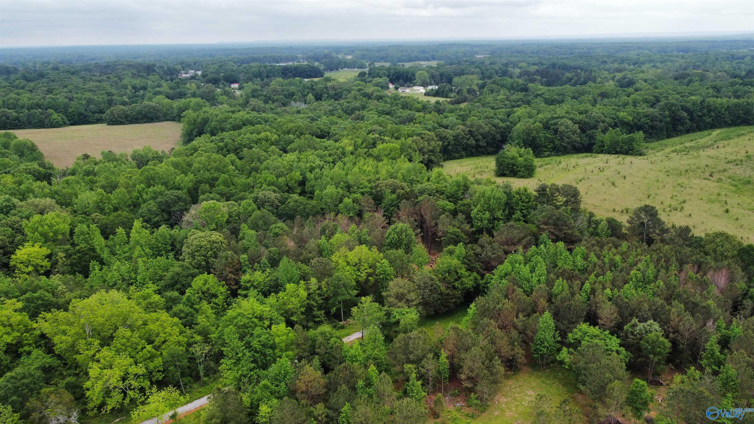 23898 County Road 460, Trinity, Alabama image 13