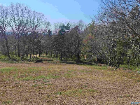 Vacant Land For Sale - 4025 High Mountain Road<br/> Huntsville, AL 35811