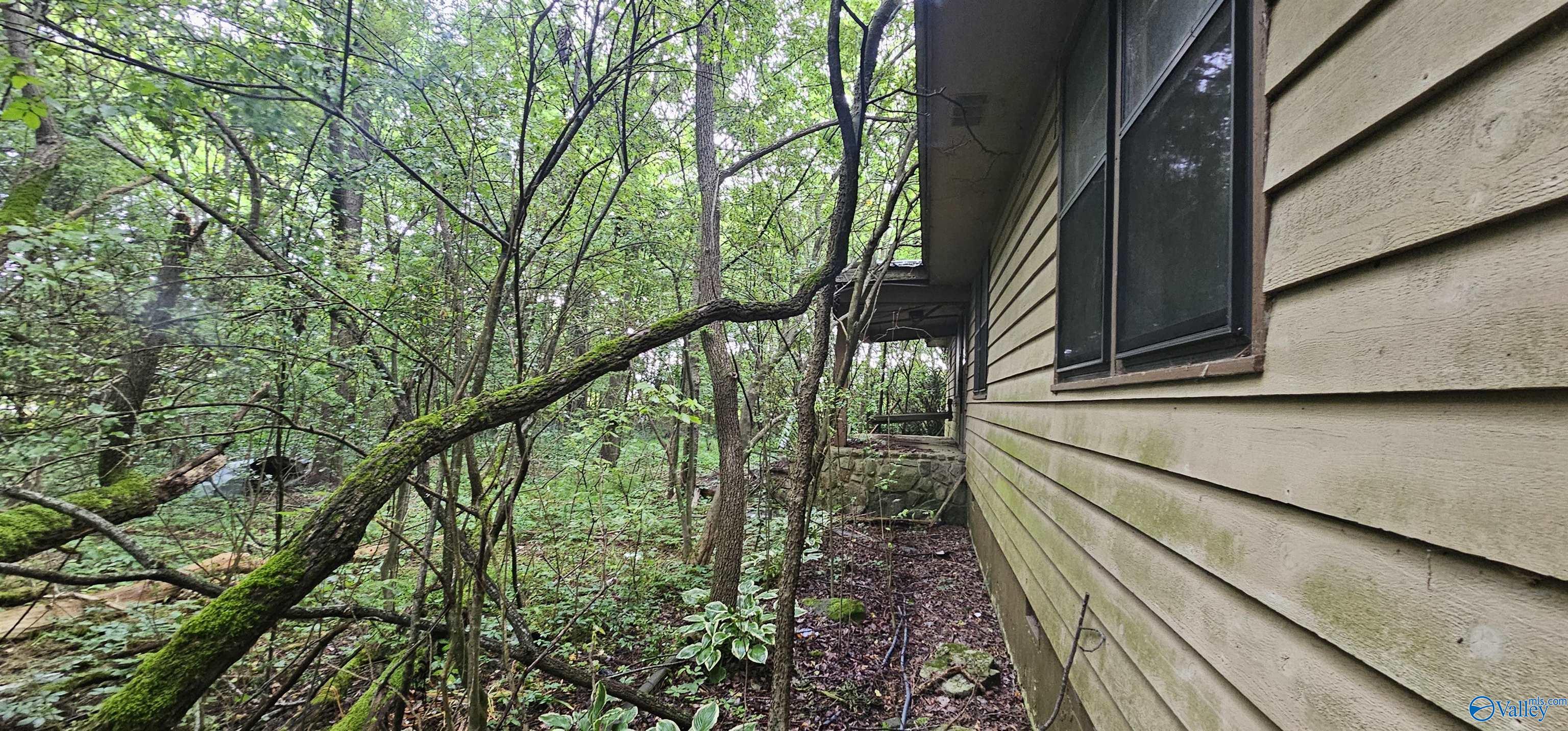 517 3rd Street, Sylvania, Alabama image 8