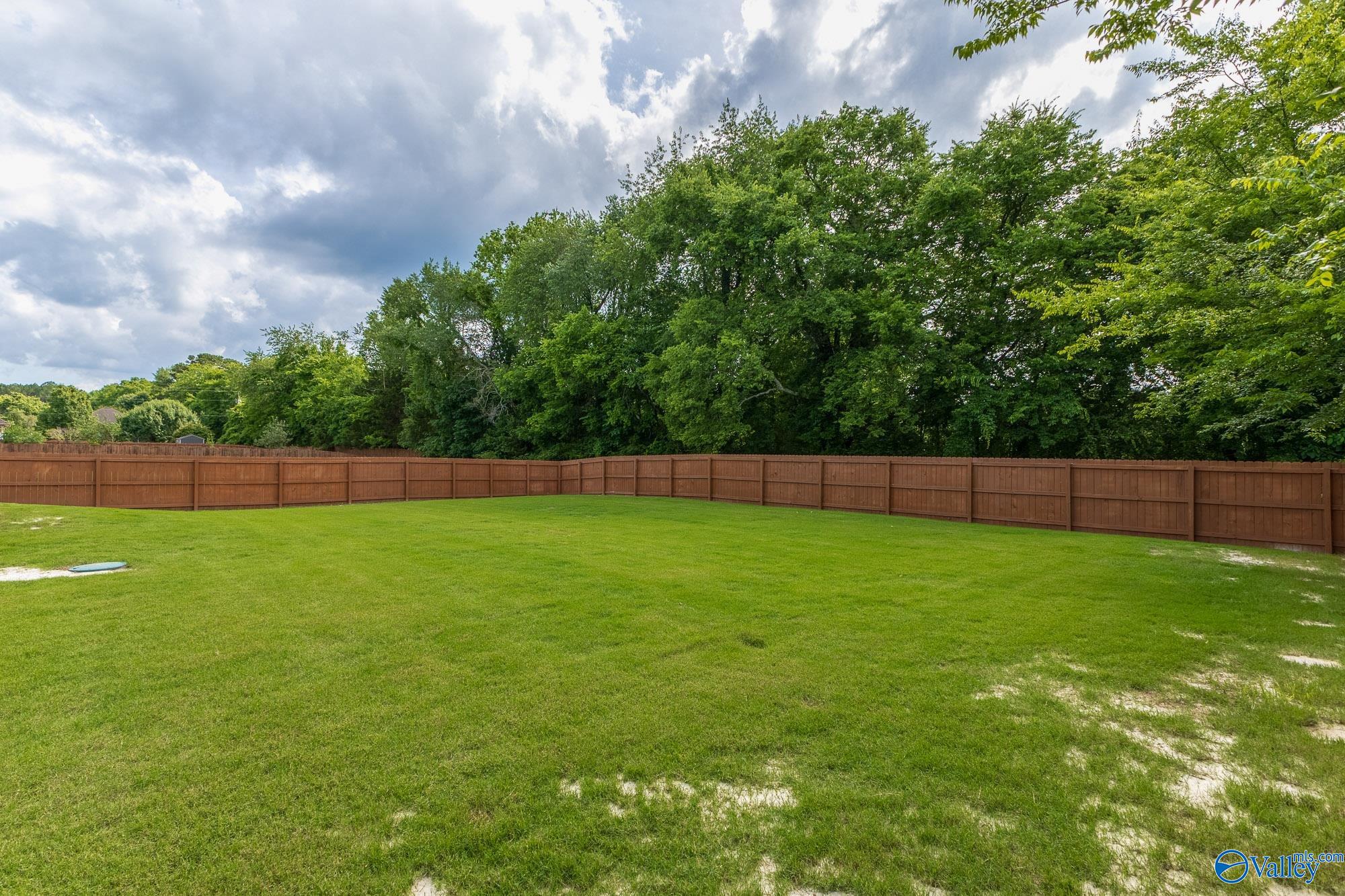 106 Haley Morgan Drive, Huntsville, Alabama image 29