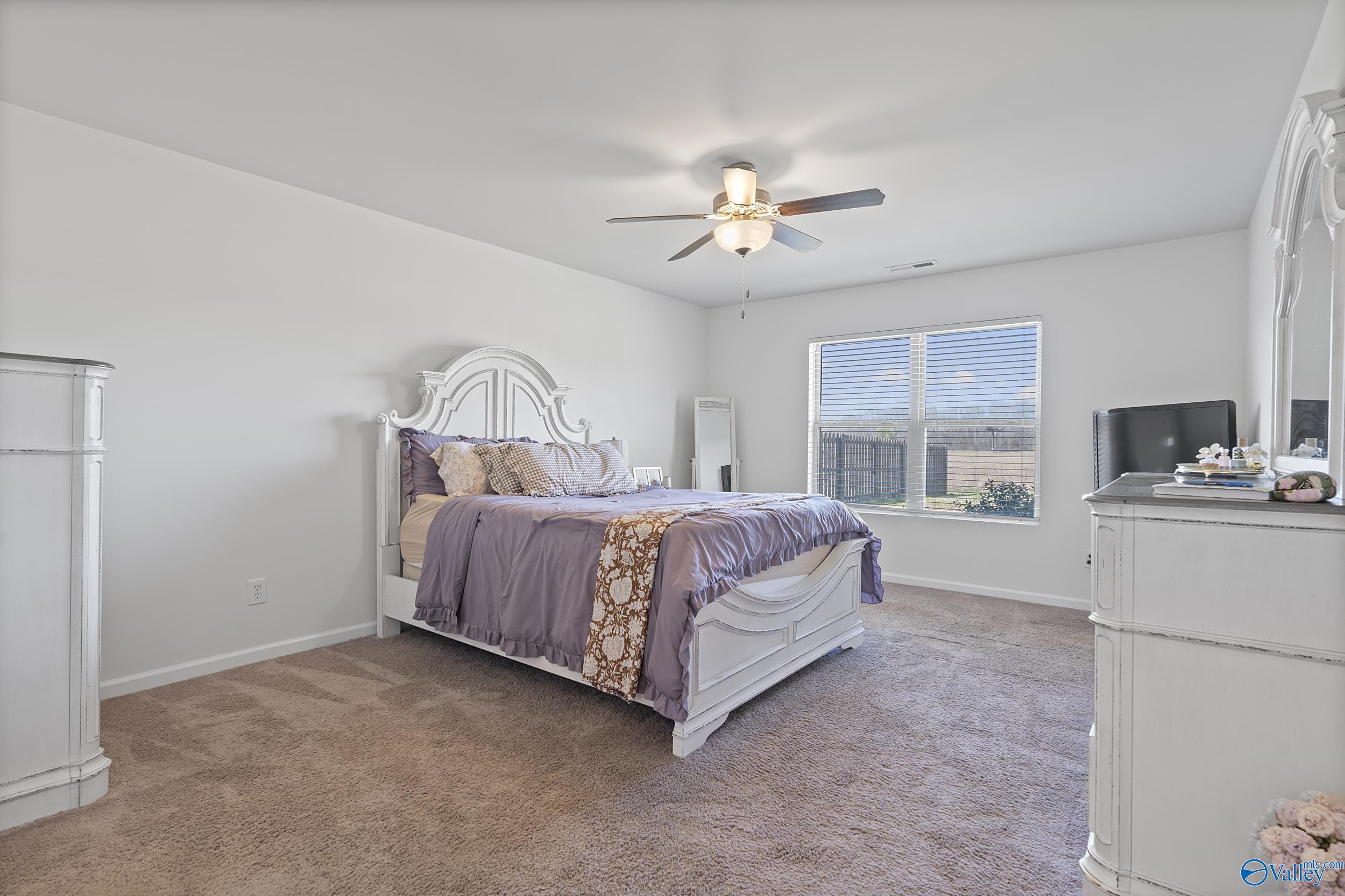 354 Willow Bank Circle, Decatur, Alabama image 10