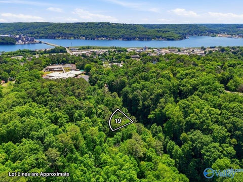 Vacant Land For Sale - LOT 19 Lusk Street<br/> Guntersville, AL 35976