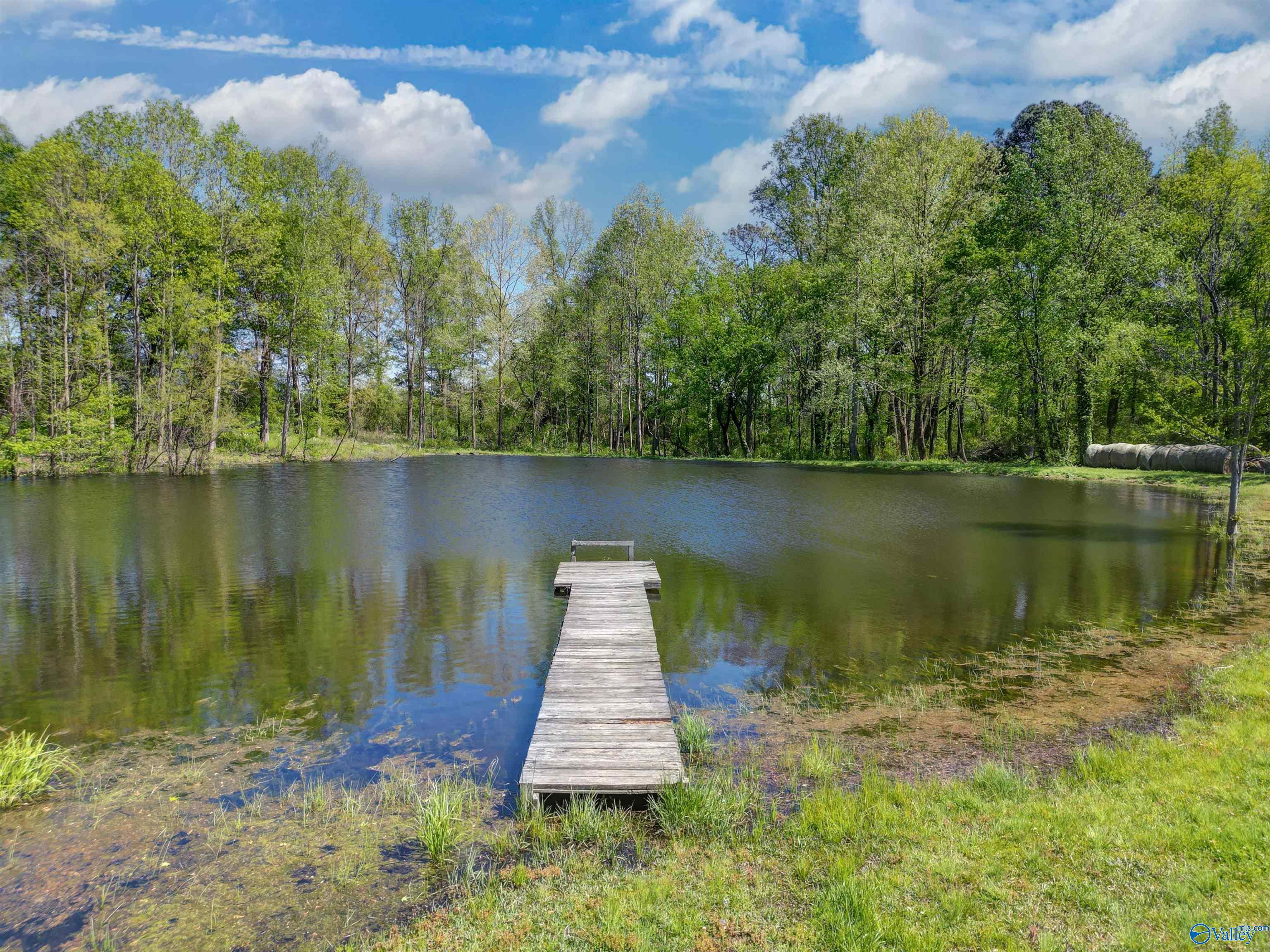 127 County Road 21, Crossville, Alabama image 27