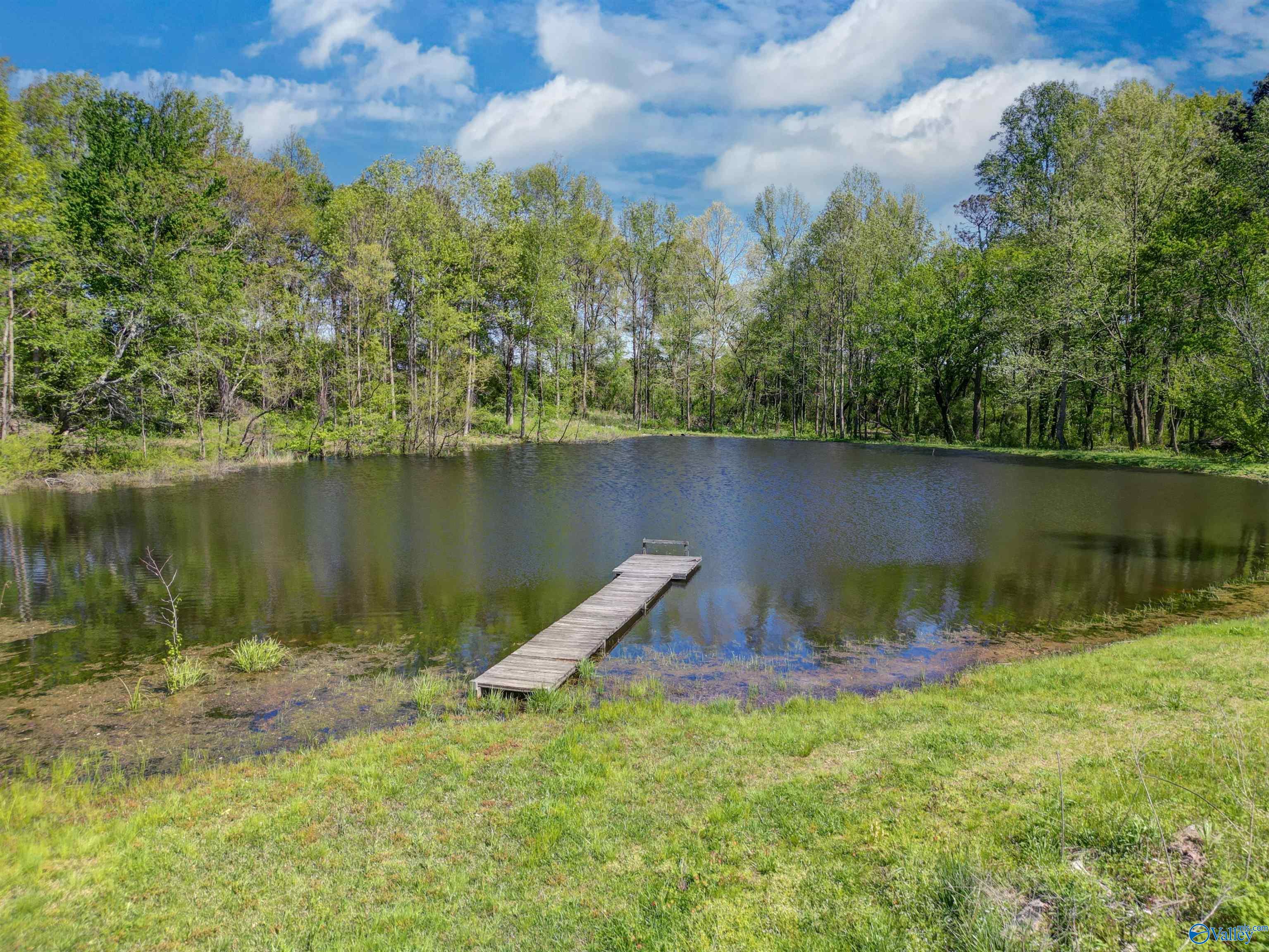 127 County Road 21, Crossville, Alabama image 6