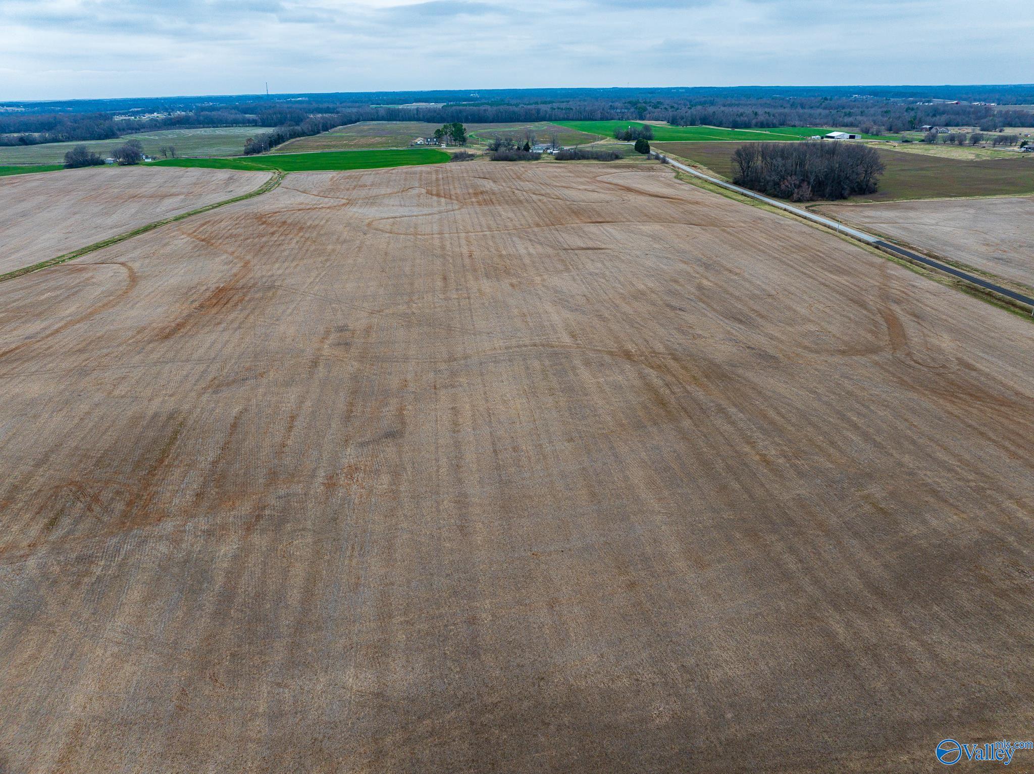 Lot 1 Mack Road, Athens, Alabama image 9