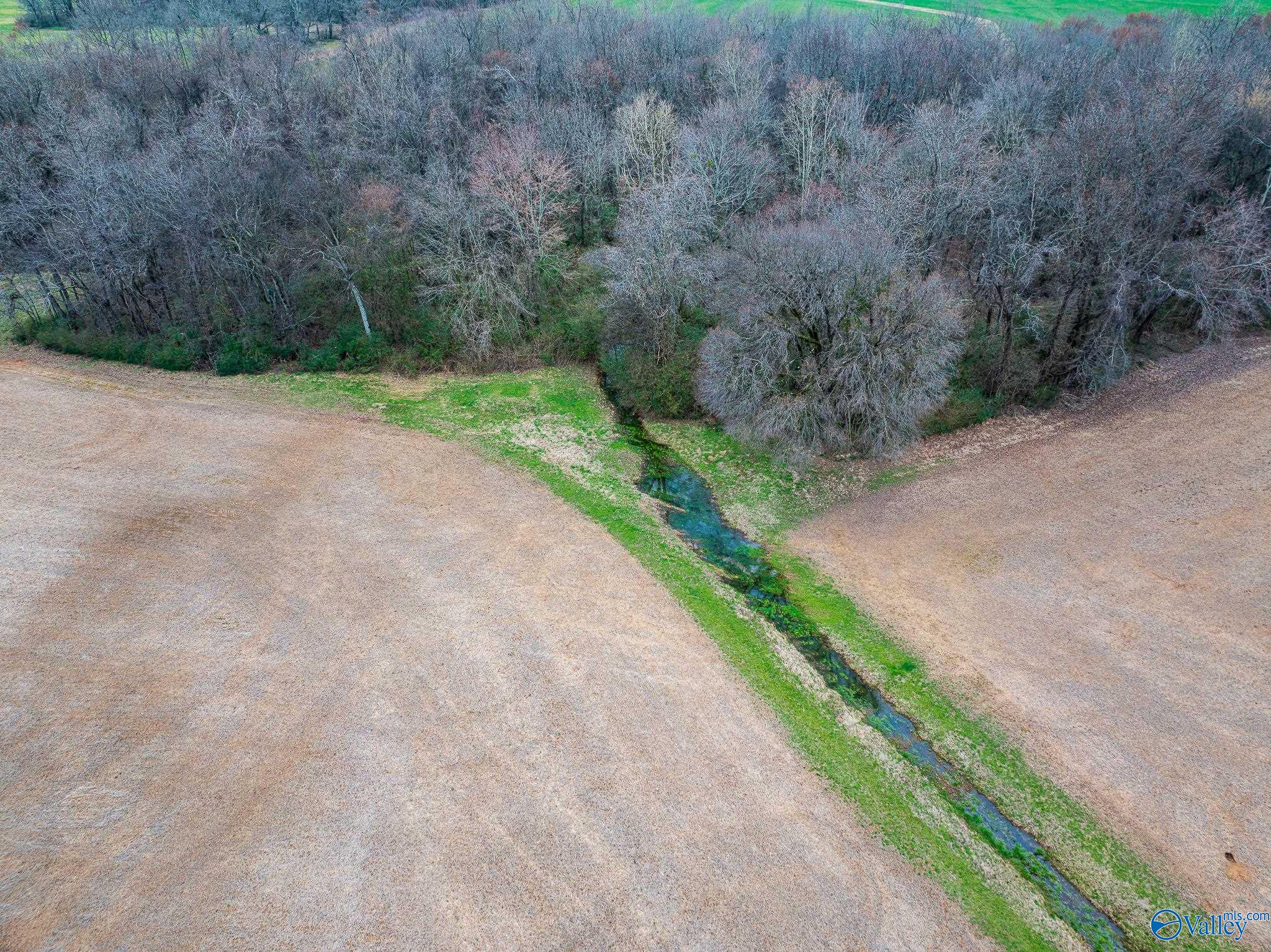 Lot 1 Mack Road, Athens, Alabama image 15
