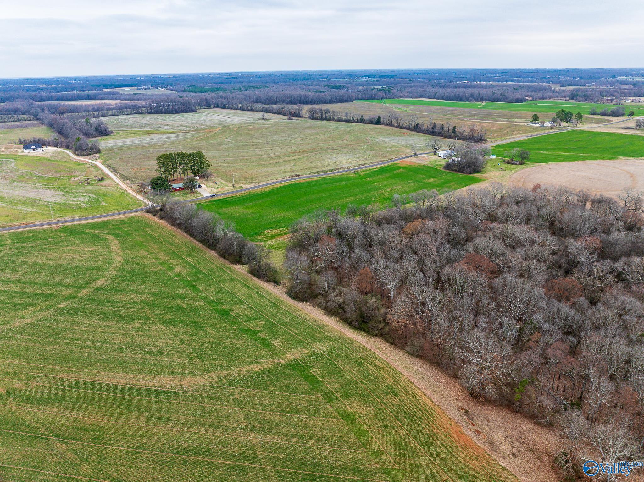 Lot 1 Mack Road, Athens, Alabama image 7