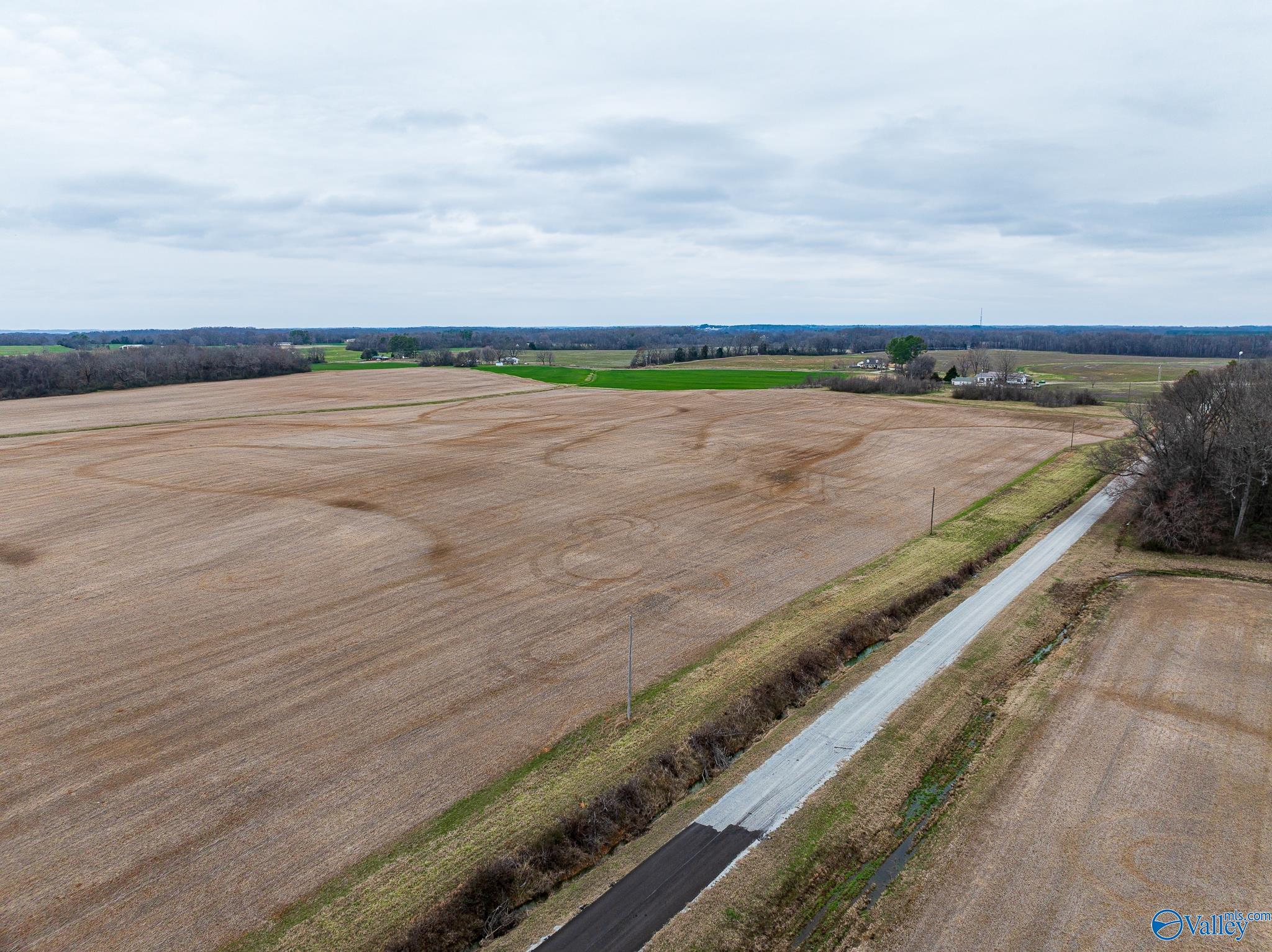 Lot 1 Mack Road, Athens, Alabama image 12