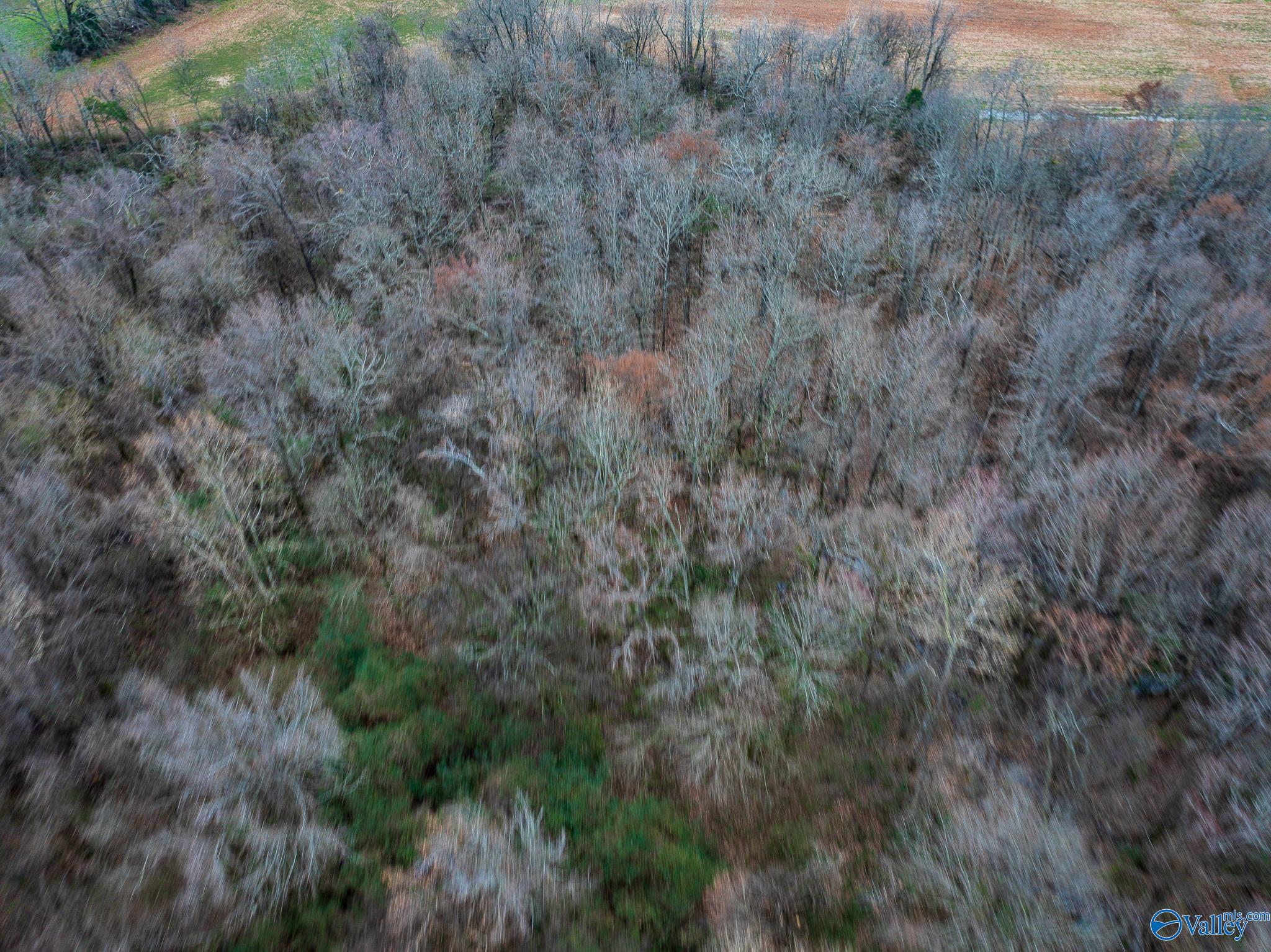 Lot 1 Mack Road, Athens, Alabama image 16