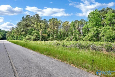 Vacant Land For Sale - LOT 6 Mill Creek Road<br/> Falkville, AL 35622