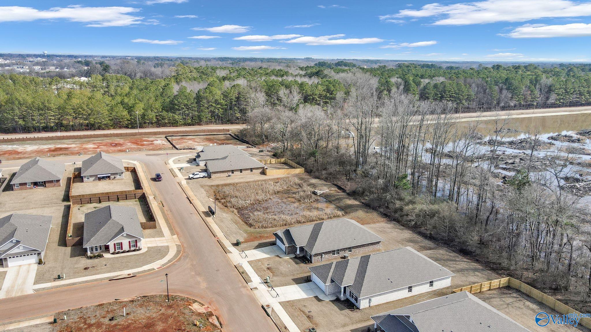15351 Dogleaf Hollow, Athens, Alabama image 37