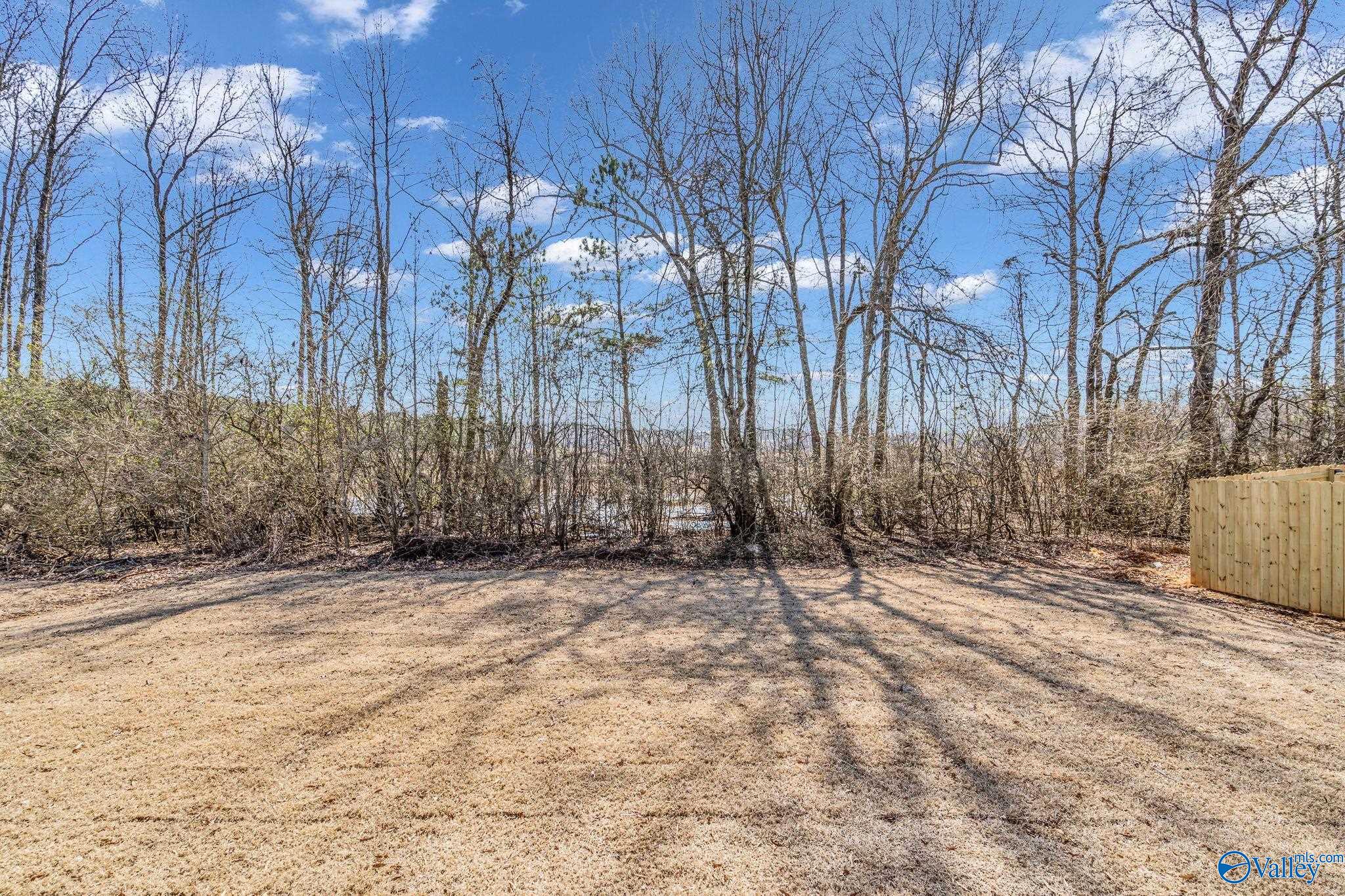 15351 Dogleaf Hollow, Athens, Alabama image 45