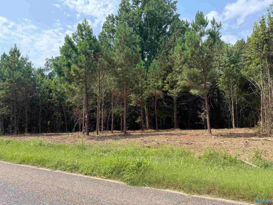 FLANAGAN RD, ATHENS, AL 35614 - Image 070ca3edb0c5879bc8d3210fd11e819f/395904522