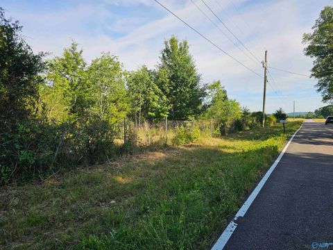 Vacant Land For Sale - 20 ACRES #1 Lee Road<br/> Falkville, AL 35640