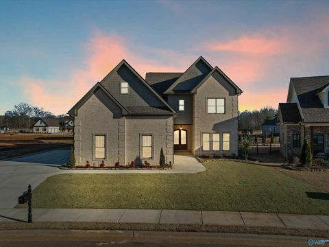 Homes For Sale - 23128 Sawgrass Drive<br/> Athens, AL 35613