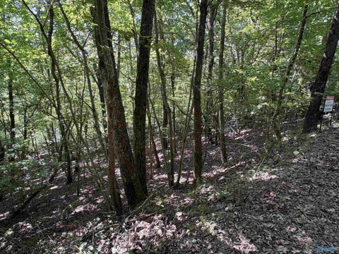 Vacant Land For Sale - 1500 County Road 103 #LOT 81<br/> Mentone, AL 35984