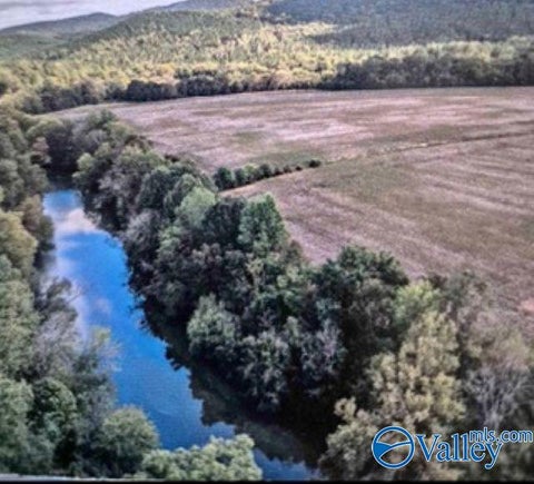 Vacant Land For Sale - LOT 29 County Road 336<br/> Cherokee County, Piedmont, AL 36272