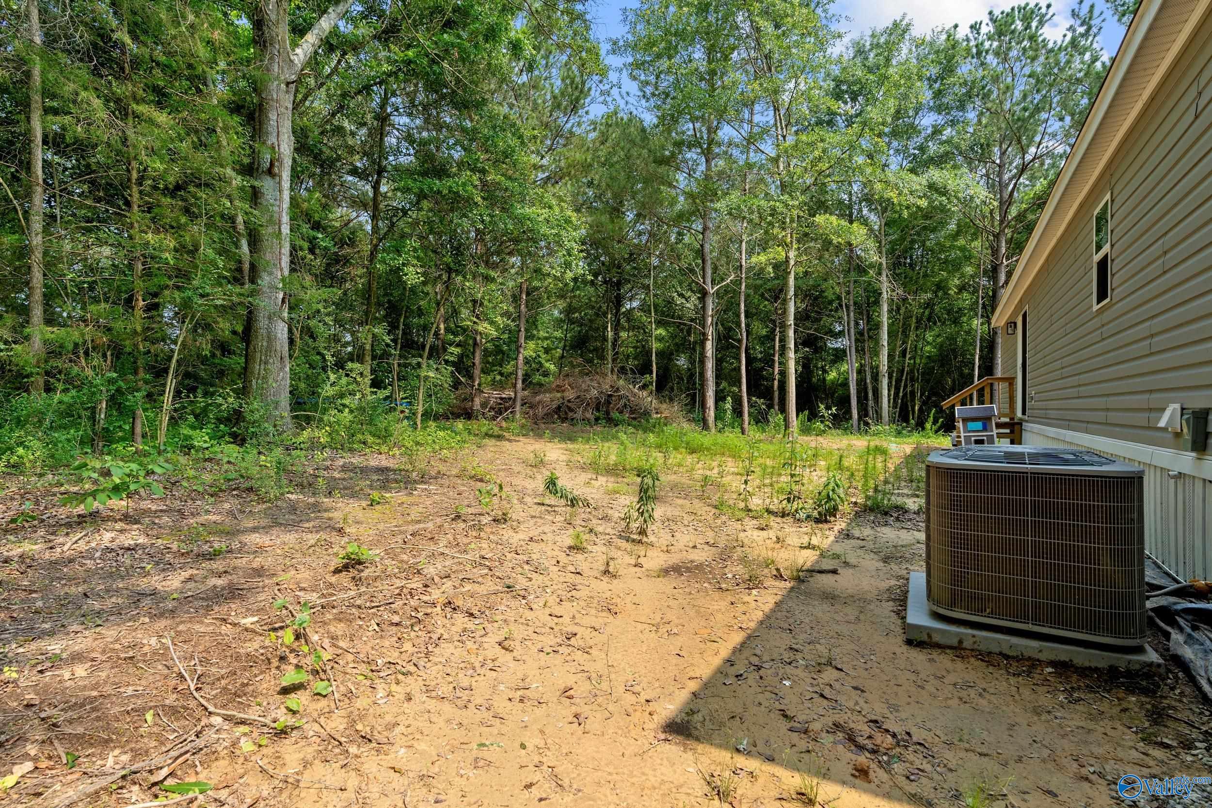 2736 Horton Nixon Chapel Road, Horton, Alabama image 22
