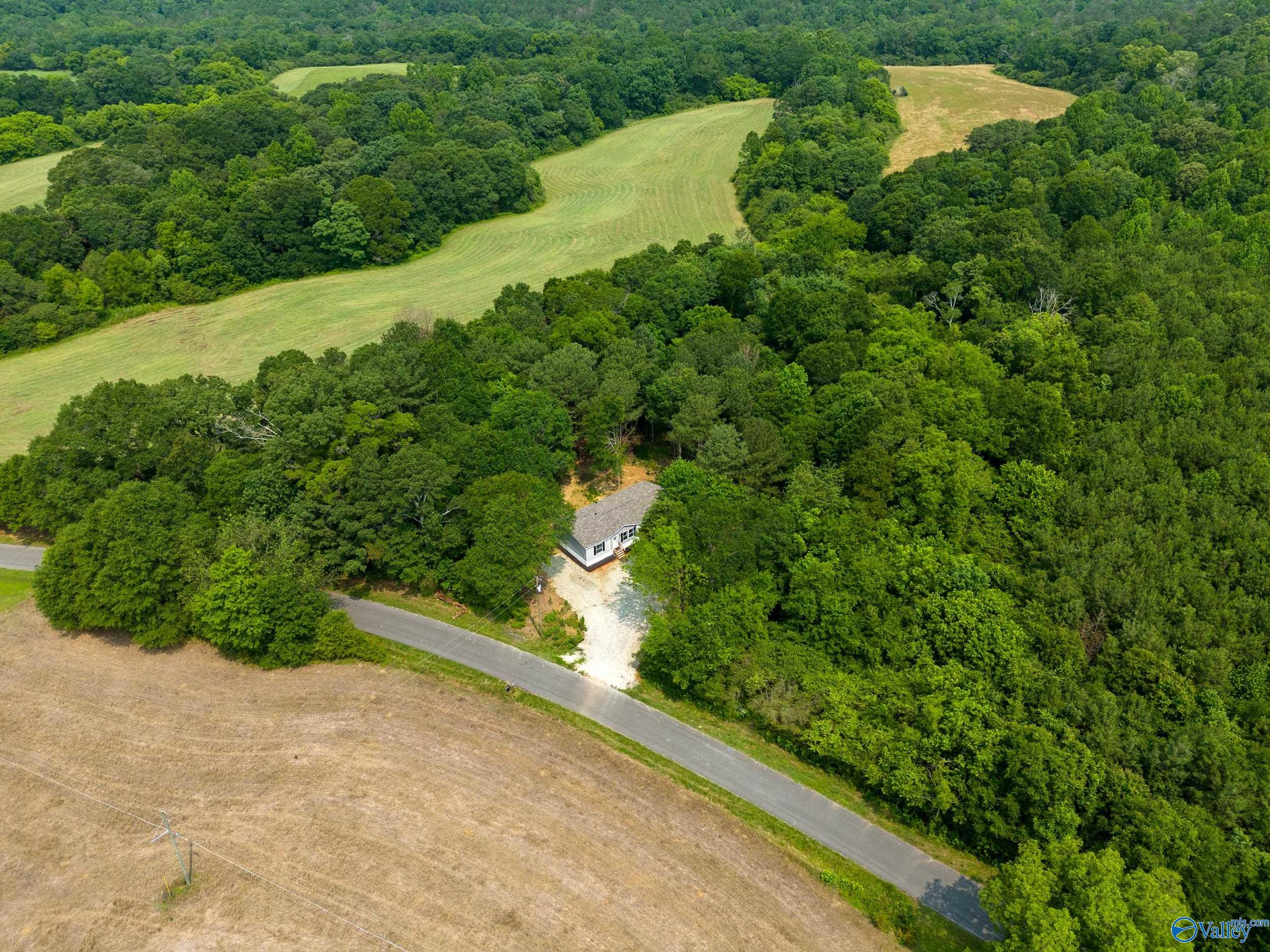 2736 Horton Nixon Chapel Road, Horton, Alabama image 24