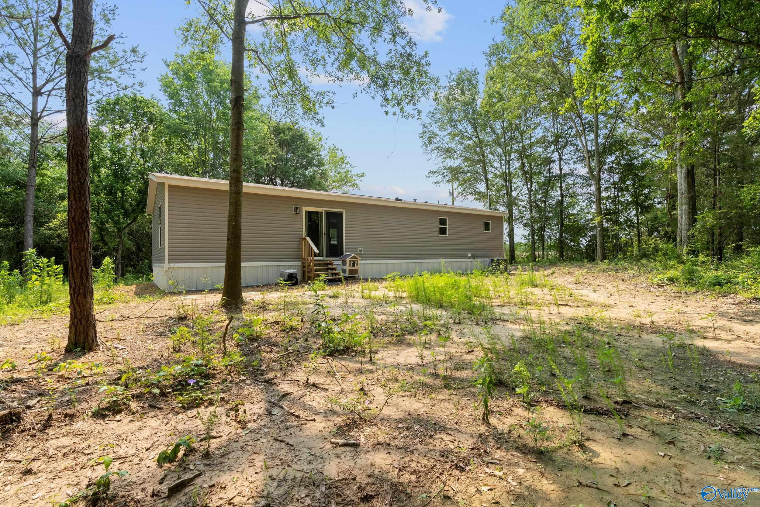 2736 Horton Nixon Chapel Road, Horton, Alabama image 21