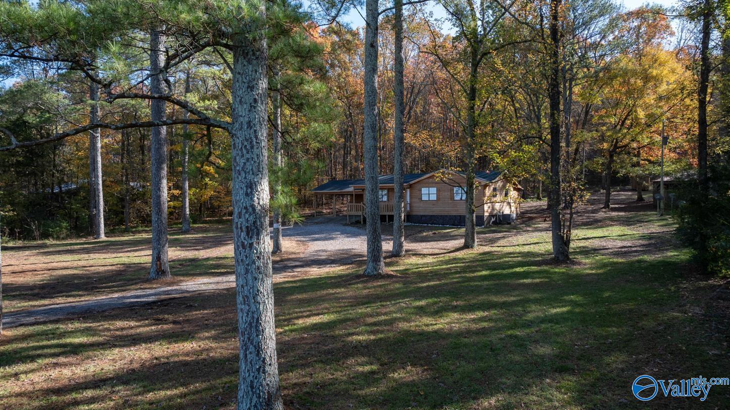 1762 W Lacon Road, Falkville, Alabama image 29