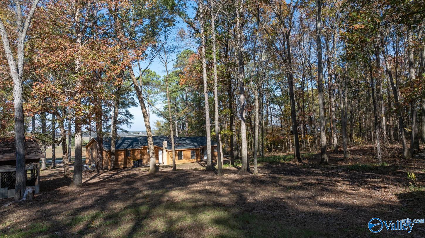 1762 W Lacon Road, Falkville, Alabama image 35