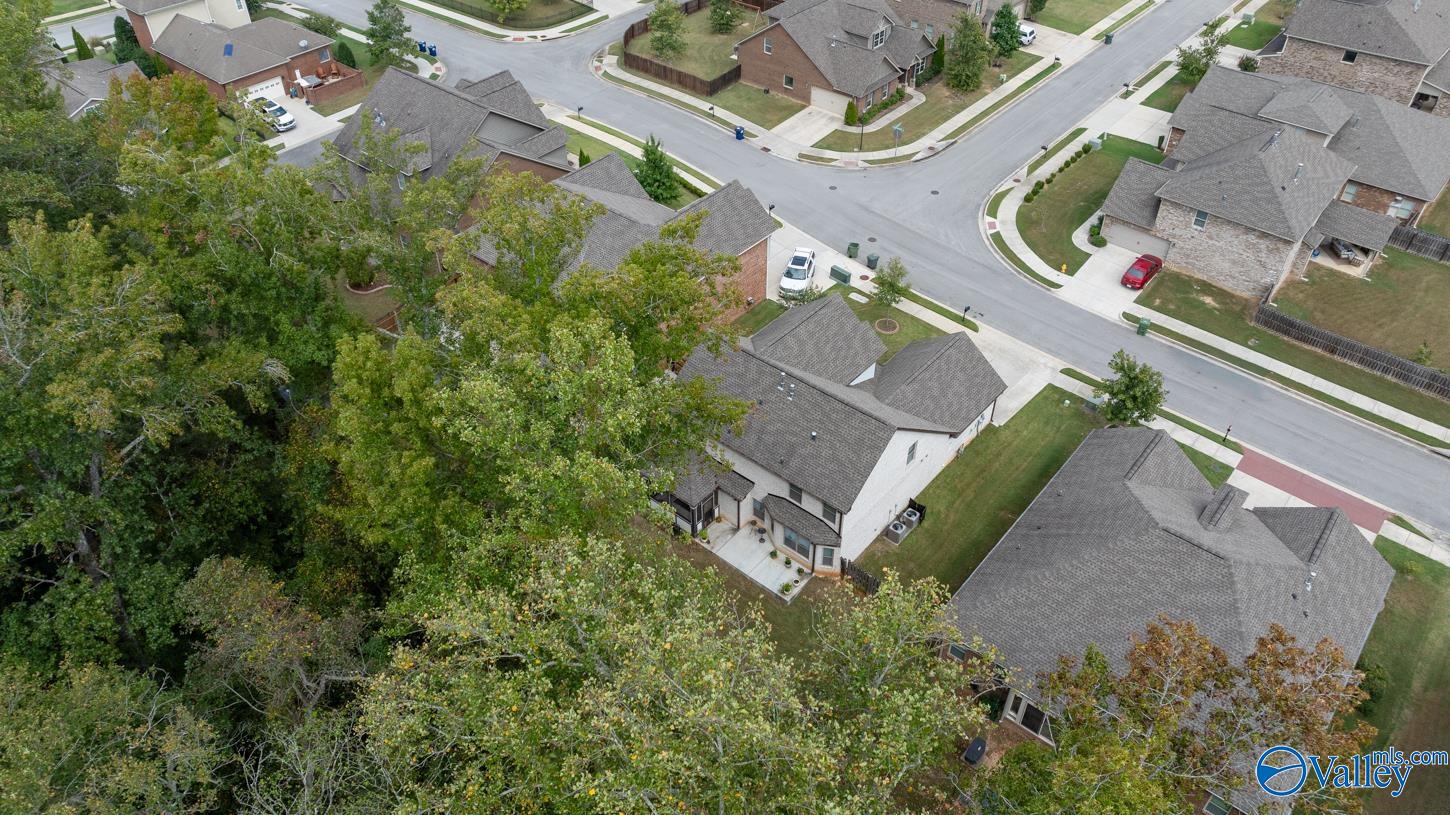 7106 Kingsbridge Lane, Owens Cross Roads, Alabama image 47