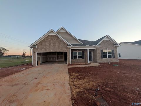 100 Khloiey Hopes Lane New Market AL 35761