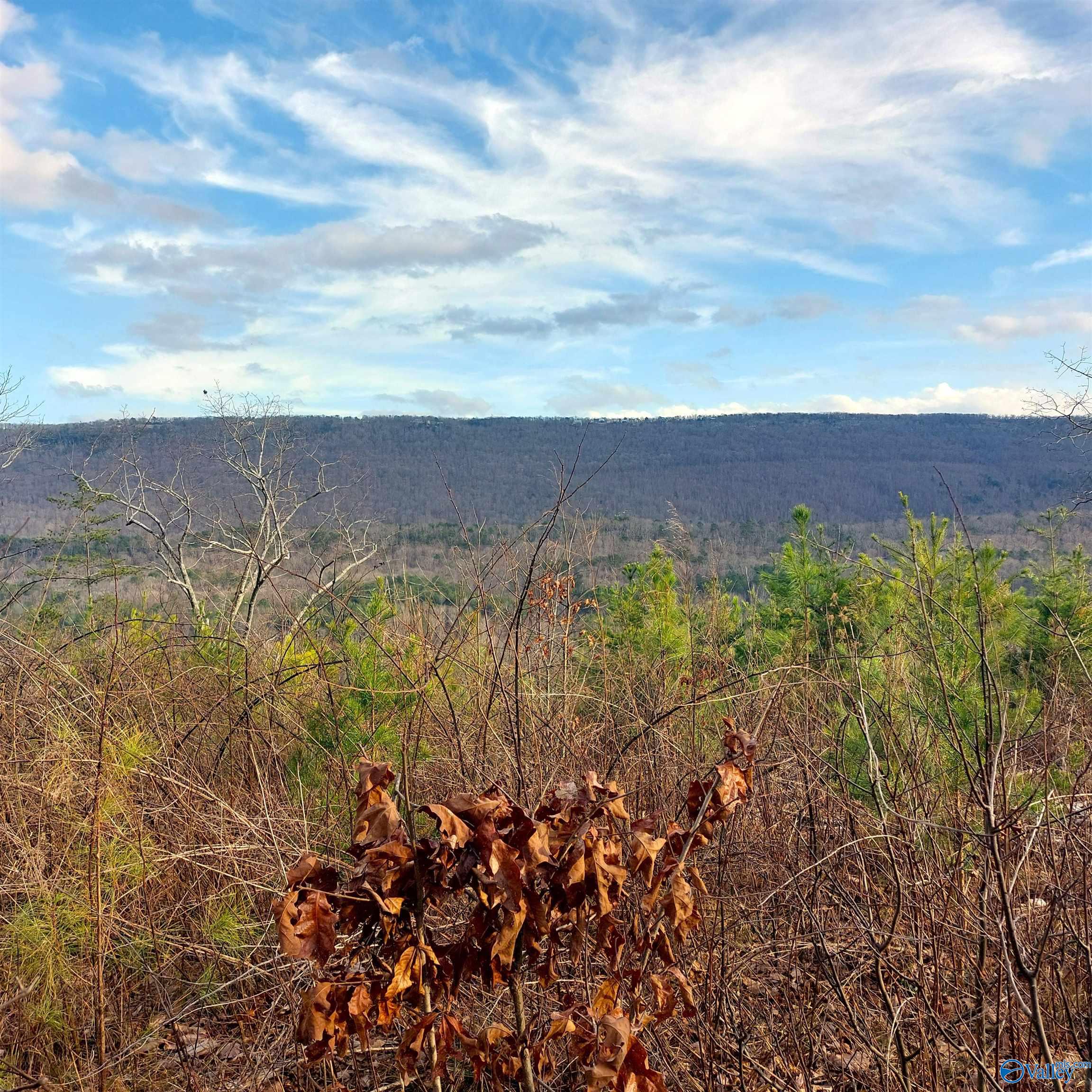 2609 County Road 239