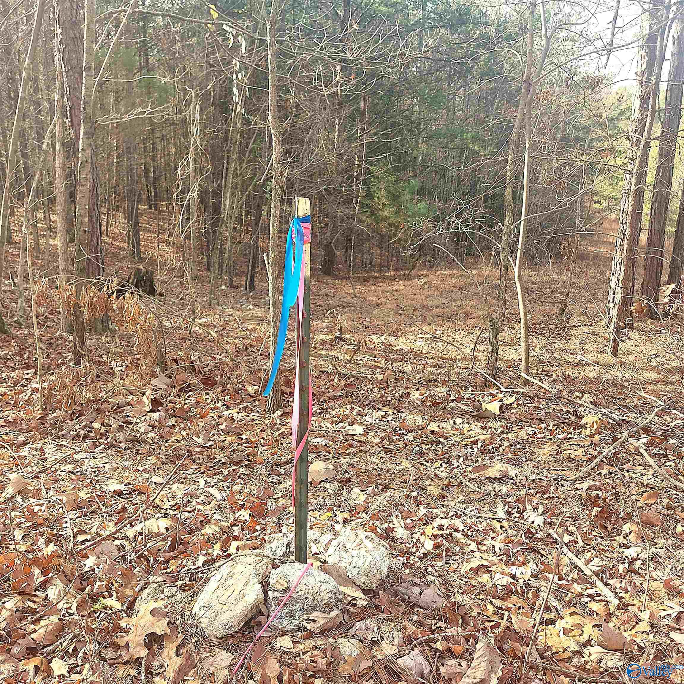 2609 County Road 239