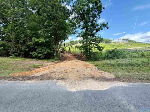 2609 County Road 239 Valley Head AL 35989
