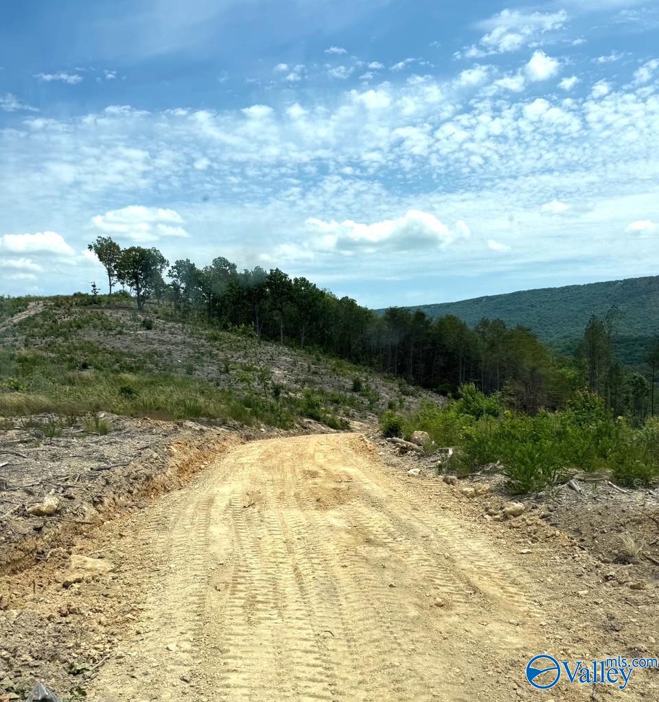 2609 County Road 239