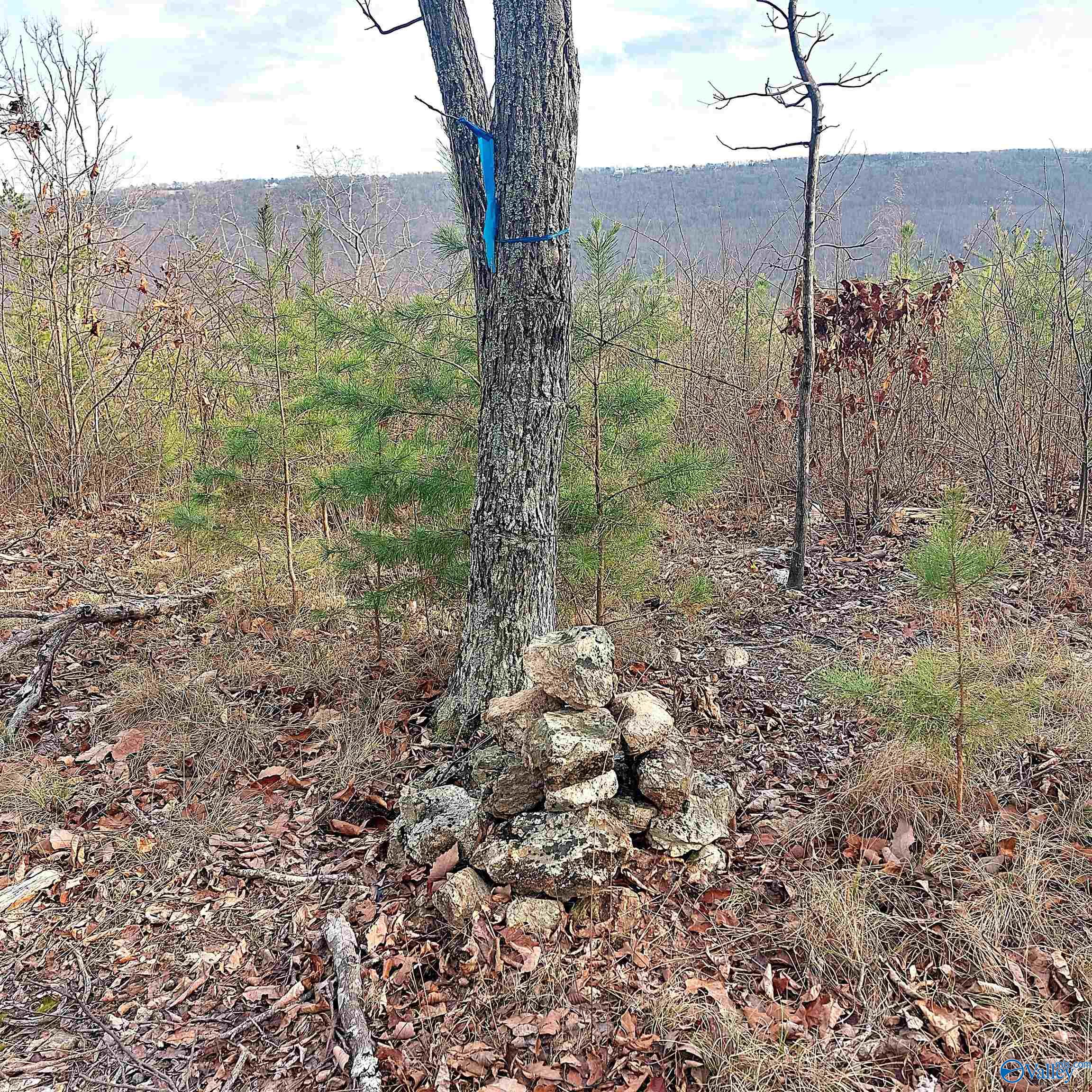 2609 County Road 239