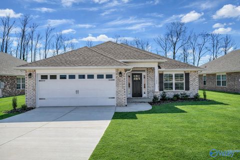 Homes For Sale - 111 Sidney Ruth Drive<br/> New Market, AL 35761