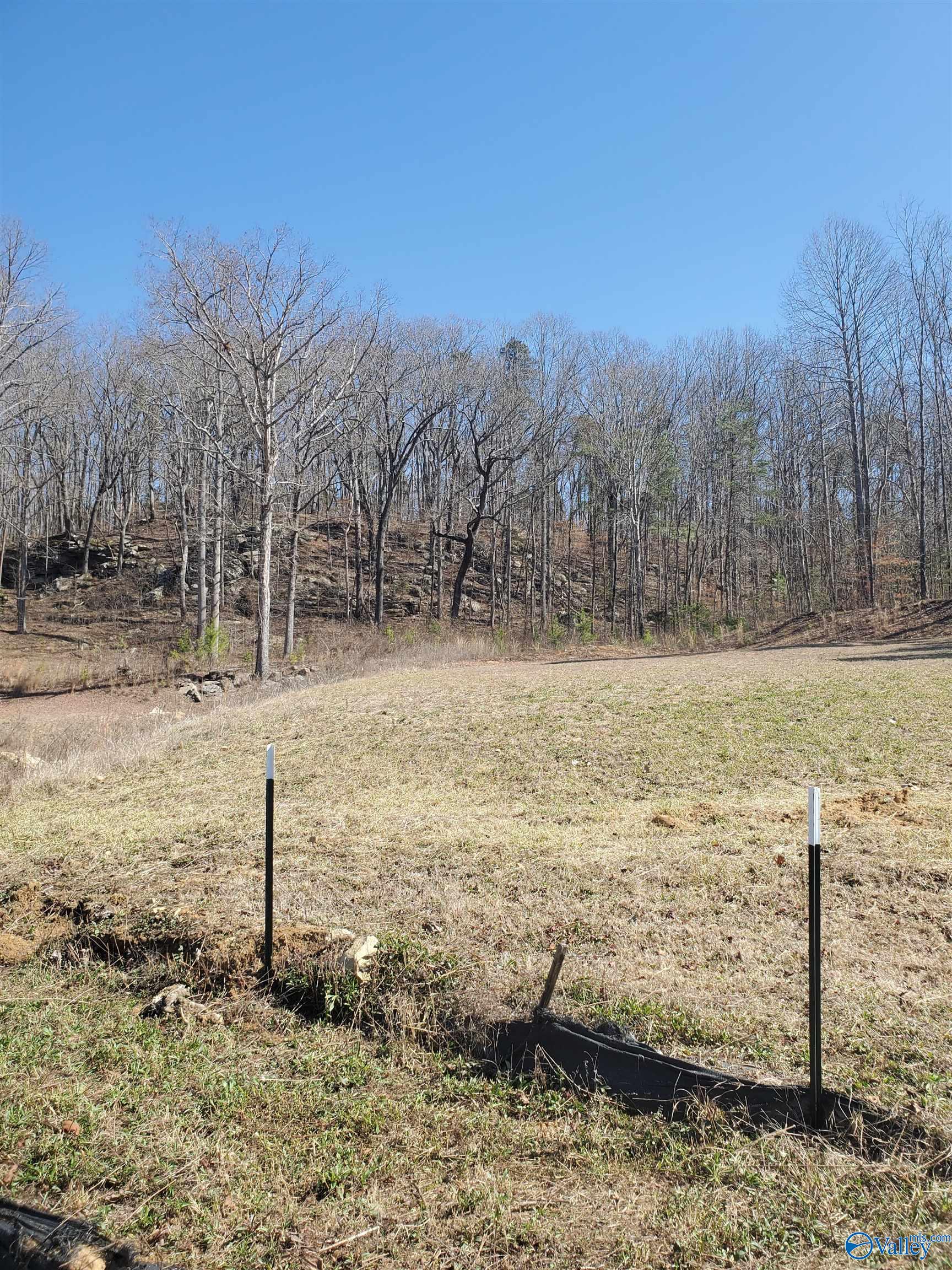1634 Lake Cove Drive - Photo 2