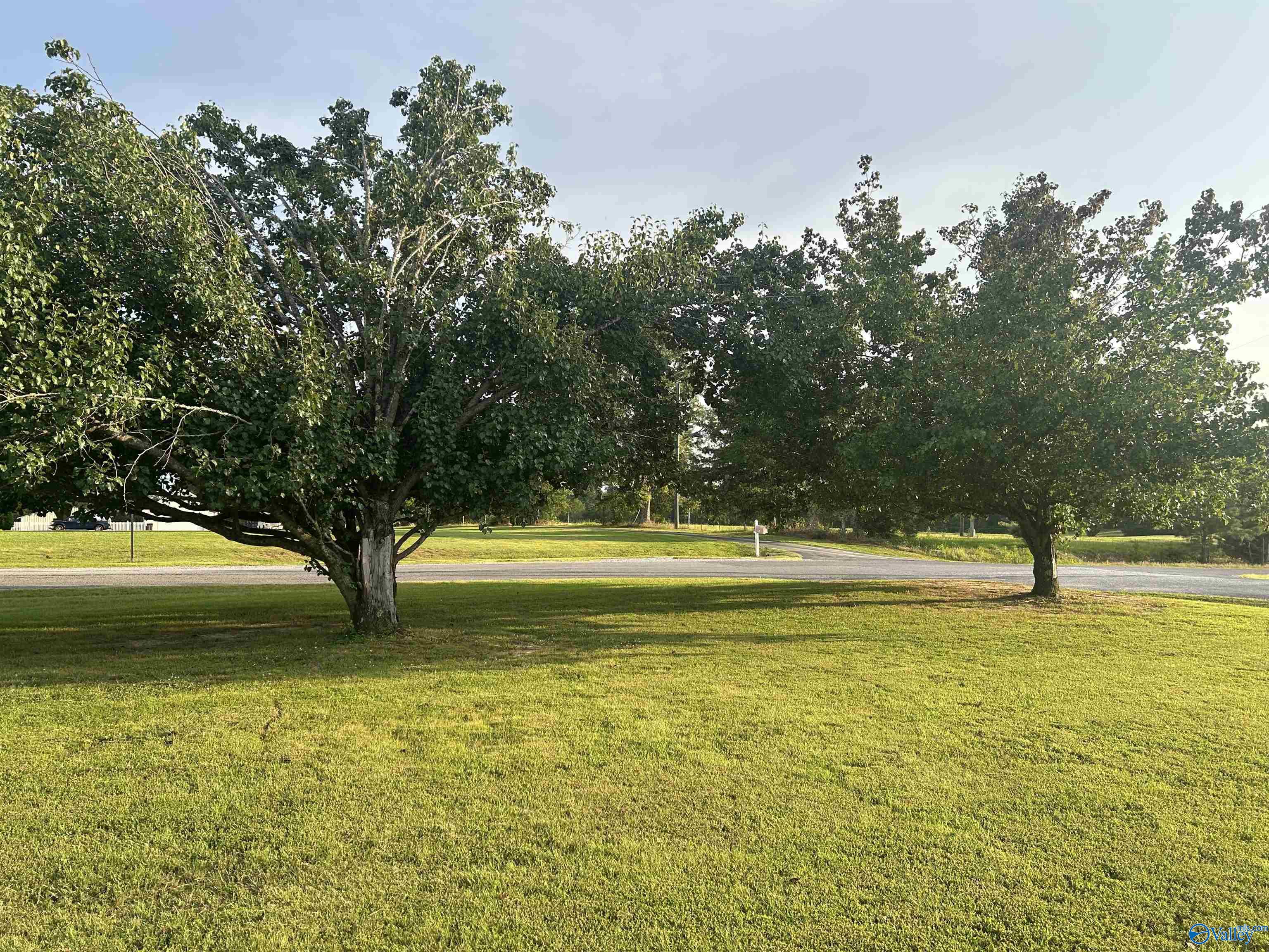 20 County Road 358, Trinity, Alabama image 5