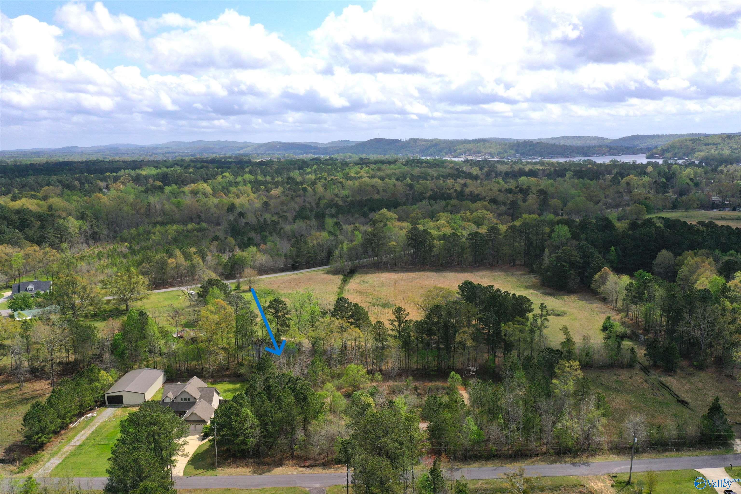 Lot 6 Hiawatha Place, Rainbow City, Alabama image 5