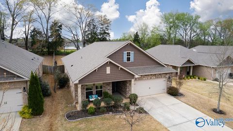 Homes For Sale - 270 Falcon Ridge Drive<br/> New Market, AL 35761